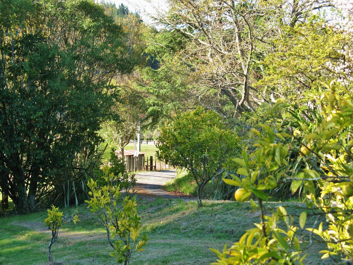 Corru Gate Villa Mapua Luaran gambar